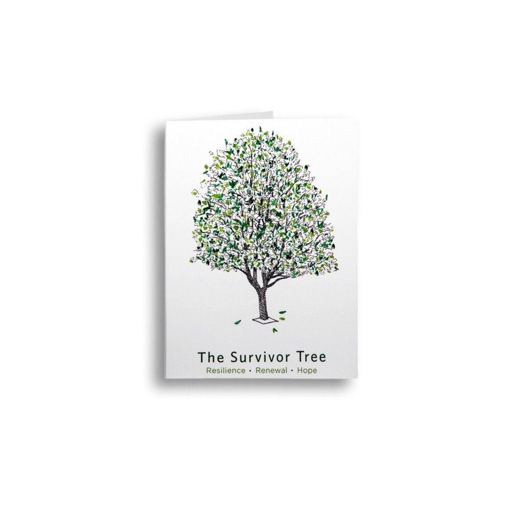 Survivor Tree seedling arrives in Avon Lake – Morning Journal