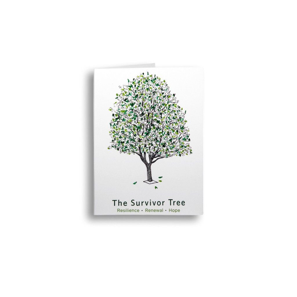 The Survivor Tree, seedling, tree