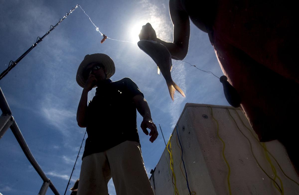 Gulf Stream Fishing15.JPG