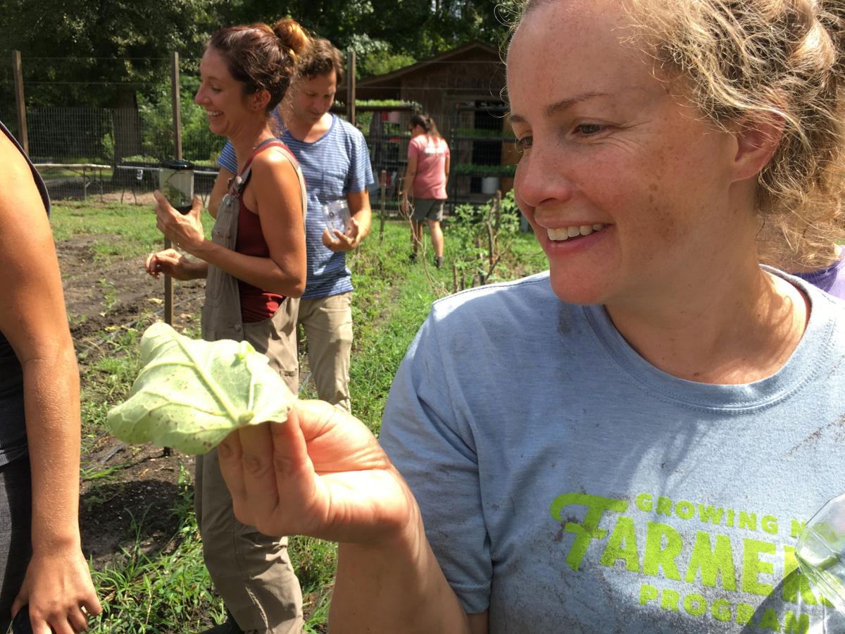 Lowcountry Local First grows and supports farmers | Columnists