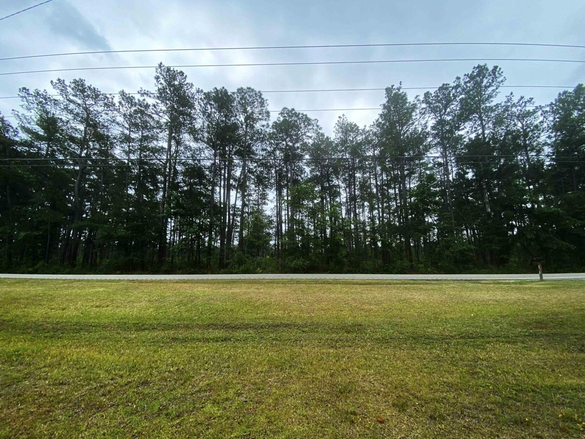 Wedgefield Plantation