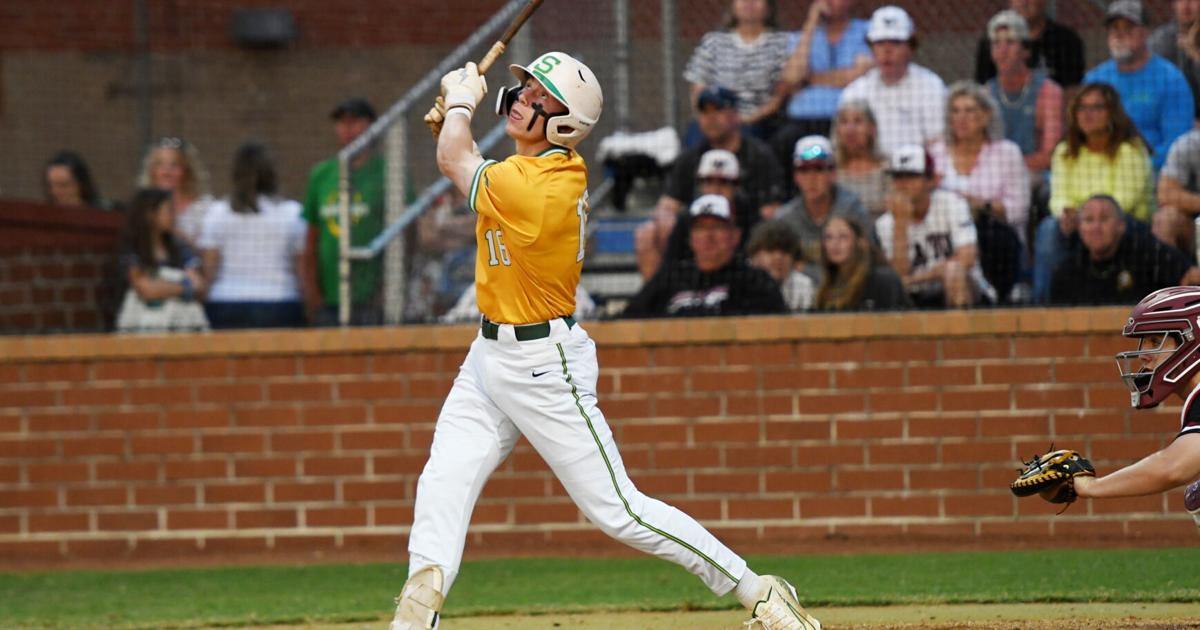 Ashley Ridge, Summerville place players on all-state baseball team