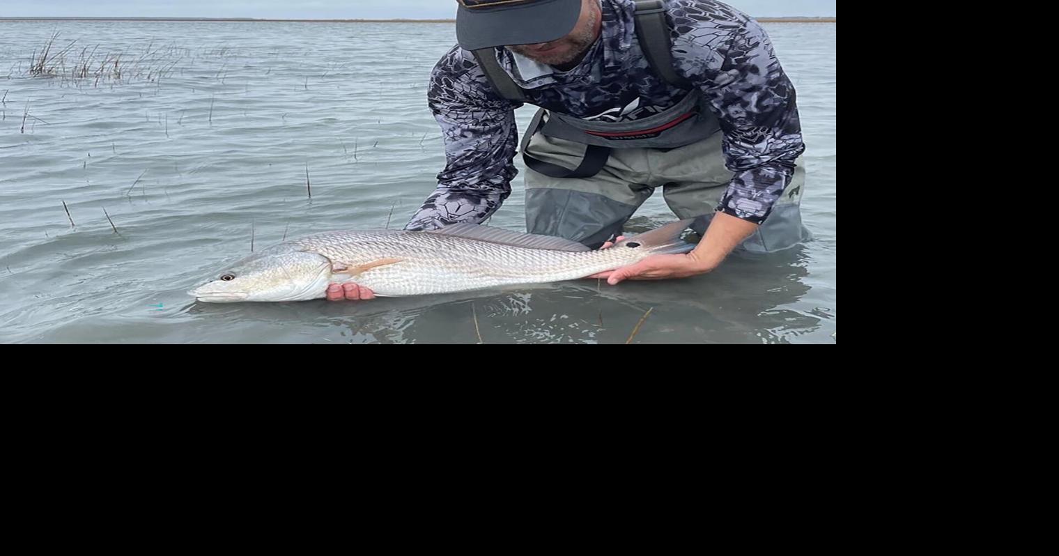 Red drum limits will have major reduction beginning July 1