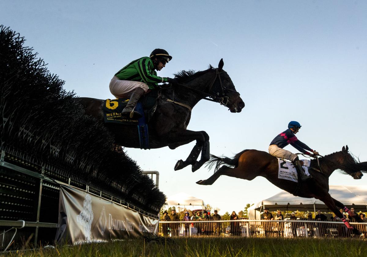 Photos Steeplechase of Charleston Photo Galleries