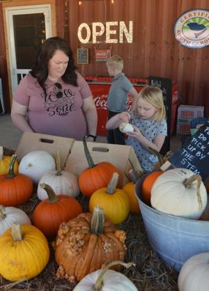 Carey'sFarmstand8.JPG