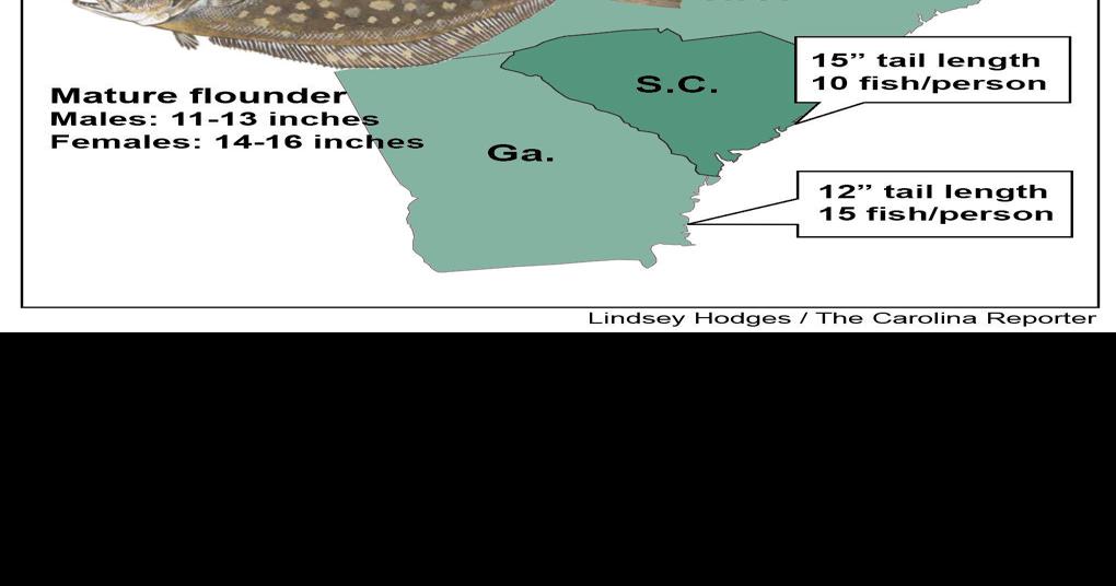 Flounder size limit bill may affect S.C. fishermen Sports