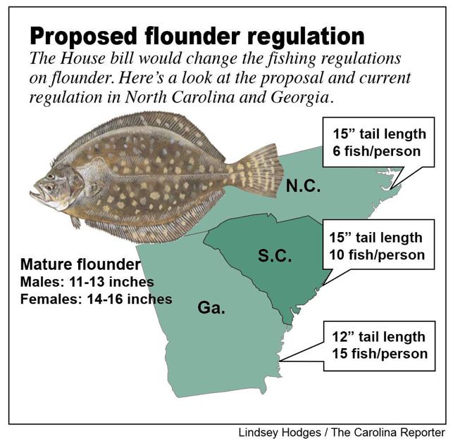 Flounder size limit bill may affect S.C. fishermen Sports