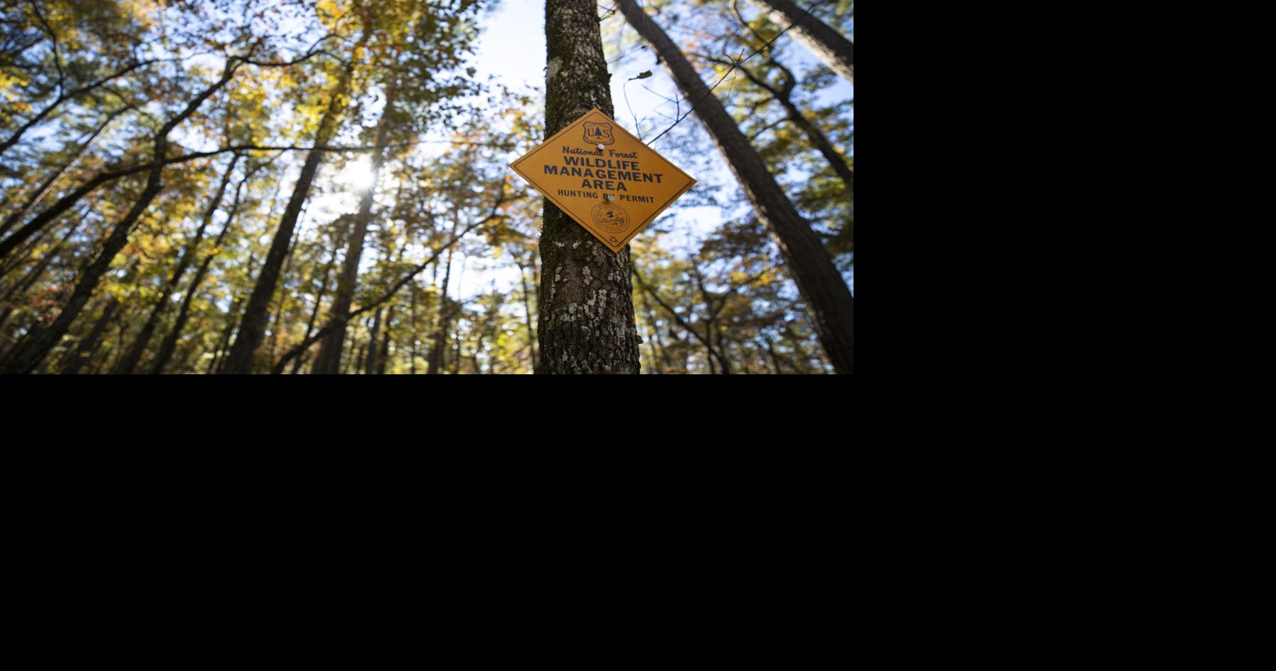 Is hunting a rich man’s sport? Land access and declining wildlife populations are changing SC trends