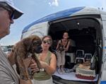 dogs_rescue_plane_07.jpg
