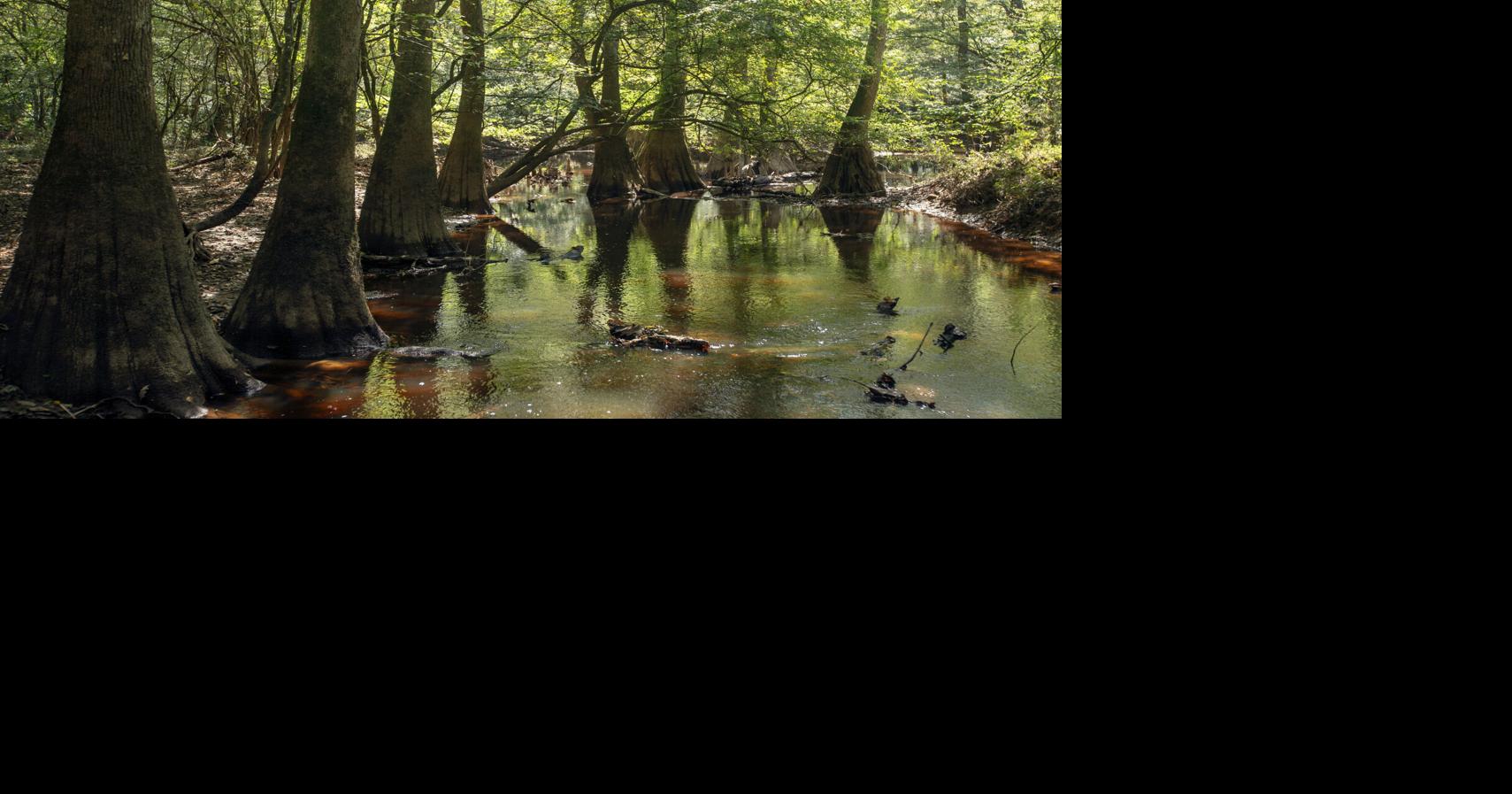 Tourism plan for lower Richland County moves forward after years of