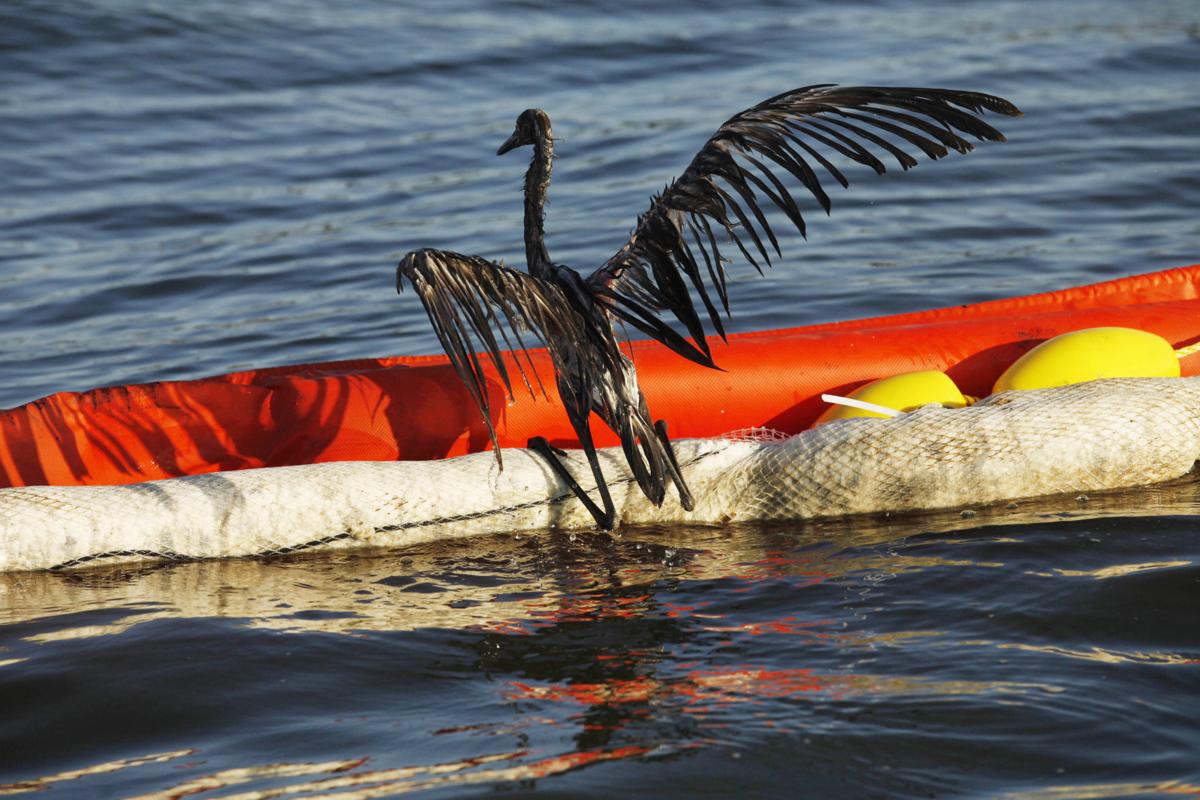Gulf Oil Spill anniversary