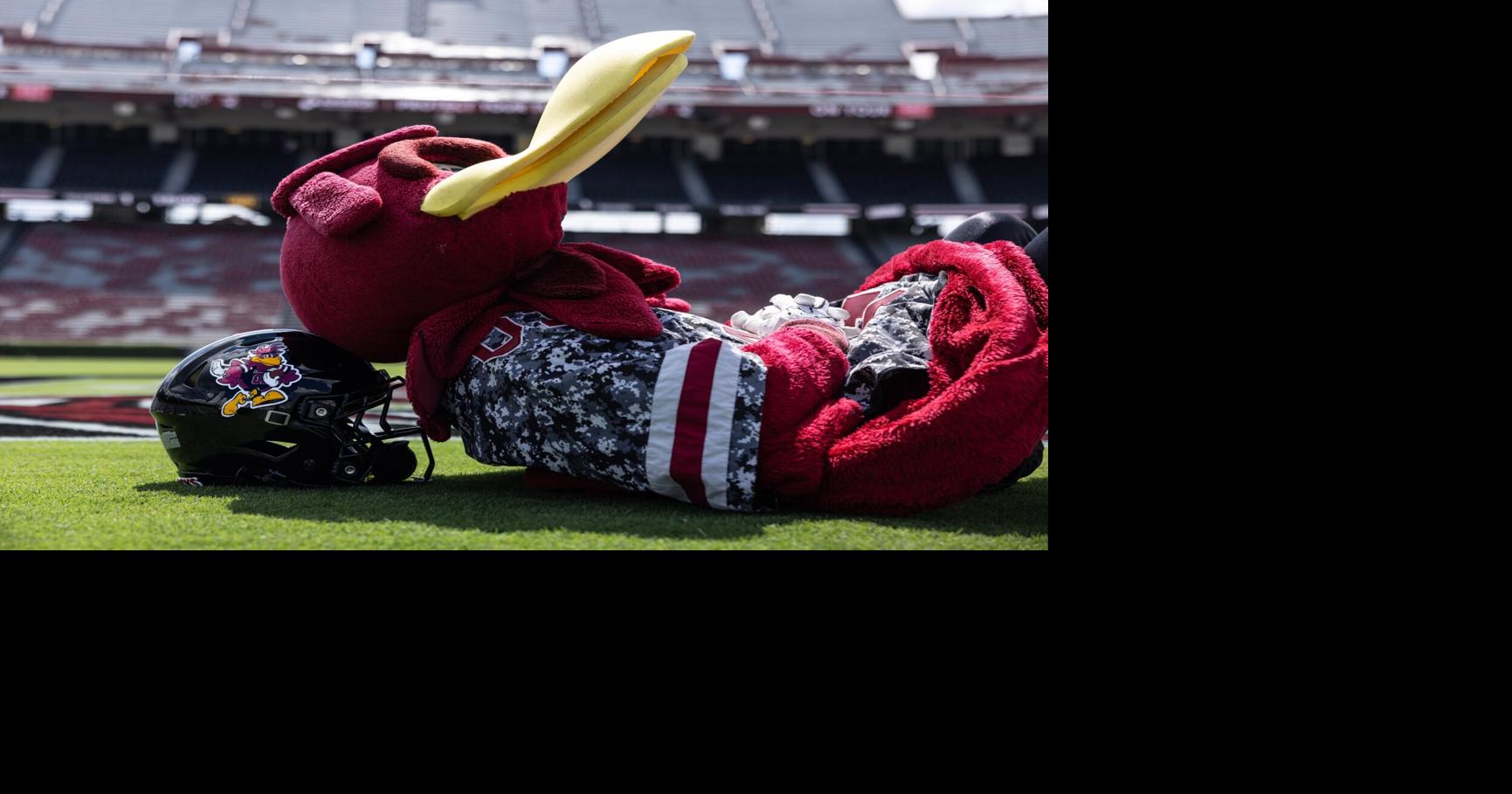 Gamecocks unveil one-time-only helmet logo for football game hosting Towson