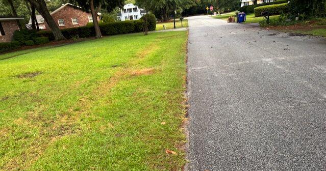 Horticulture Hotline: Large patch fungus returns