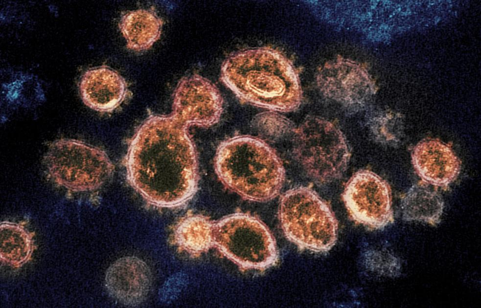New cases of SC coronavirus continue to decline as vaccination eligibility expands |  COVID-19
