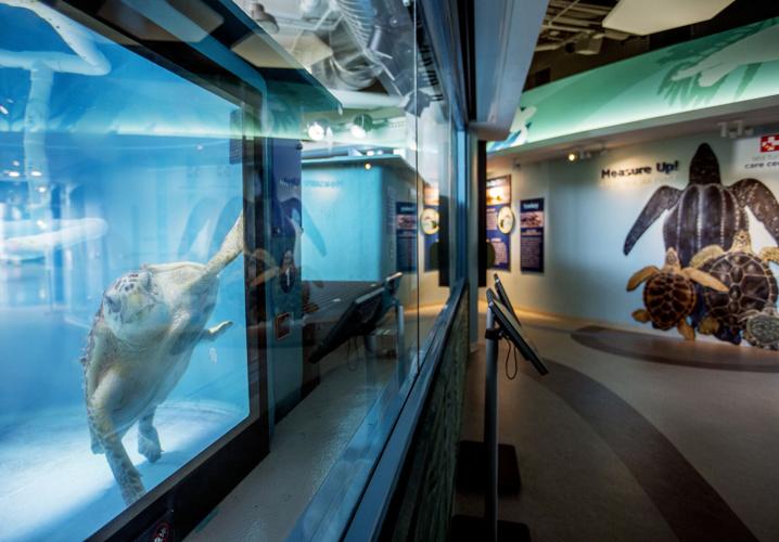 SC Aquarium To Renovate Maritime Center Space Into Boeing Learning Lab Sc aquarium to renovate maritime center space into boeing learning lab