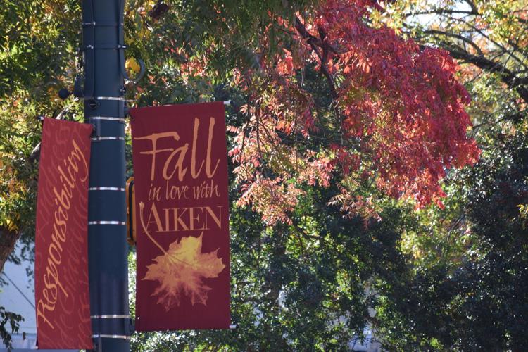Kick Off Autumn With These Fall Date Ideas Near Upstate, SC