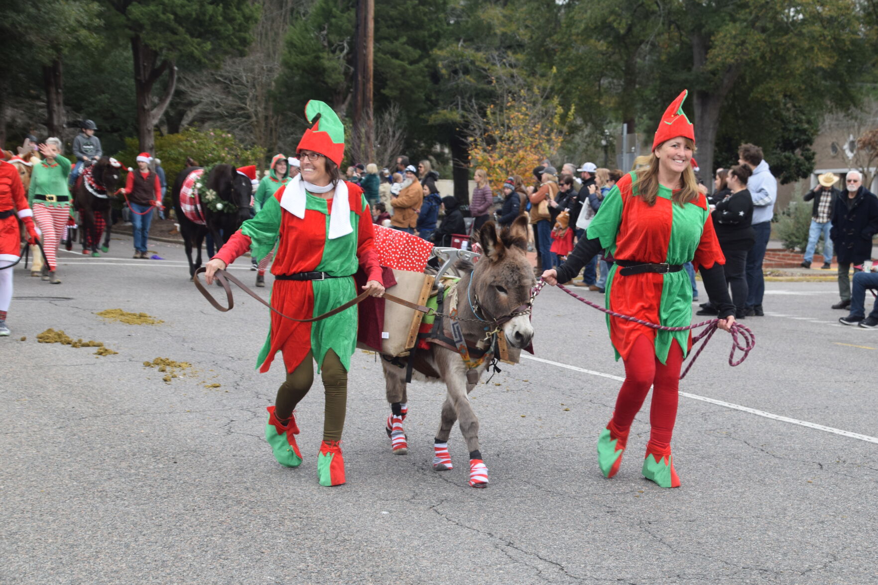 Hoofbeats And Carols Parade Brings Holiday Cheer To Downtown Aiken ...