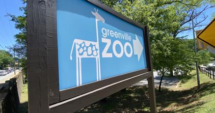 Pints and primates Greenville Zoo opens alcohol sales to boost revenue Pints and primates Greenville Zoo opens alcohol sales to boost revenue
