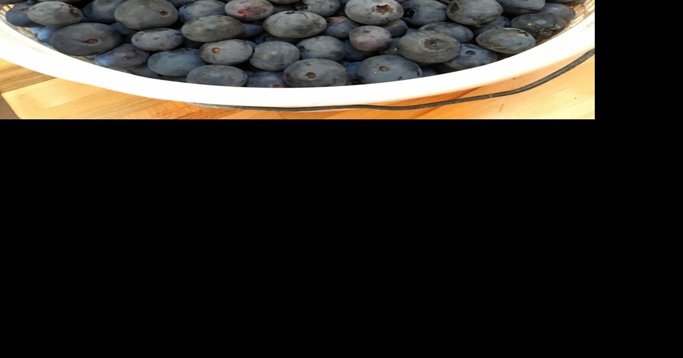 Urgent: SC Publix Recalls Blueberries – Check Your Fridge Now!