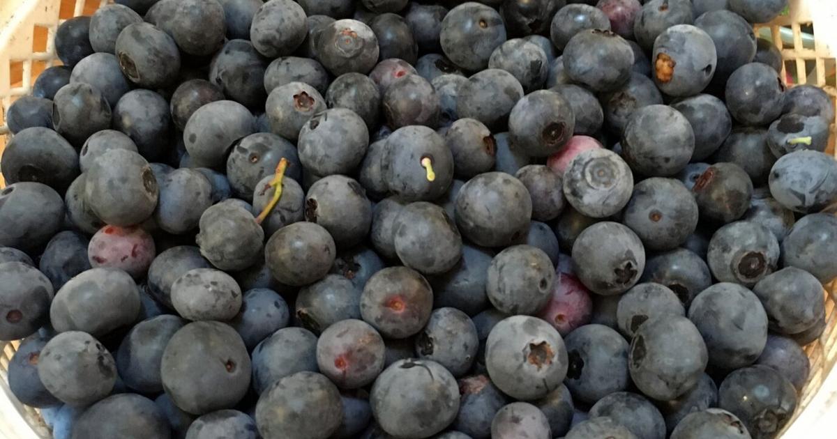 fda publix berry recall