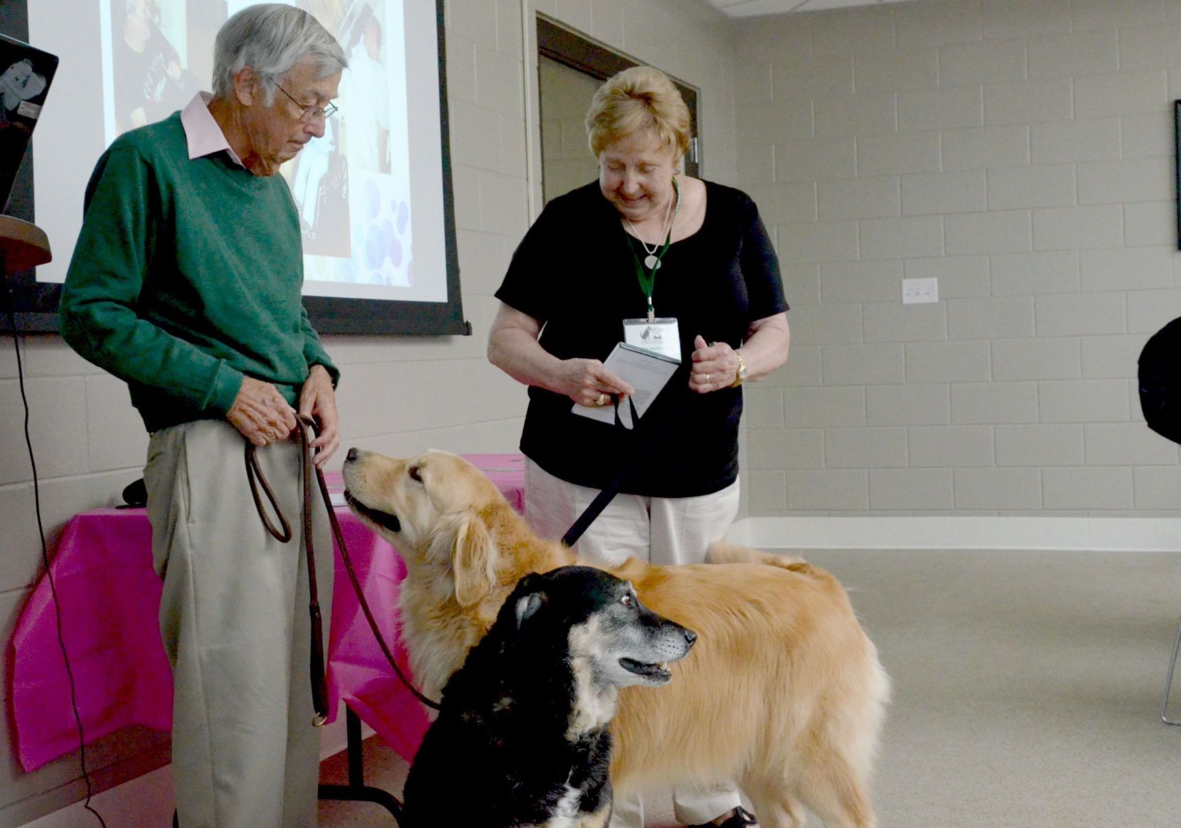 Spca sales therapy dog