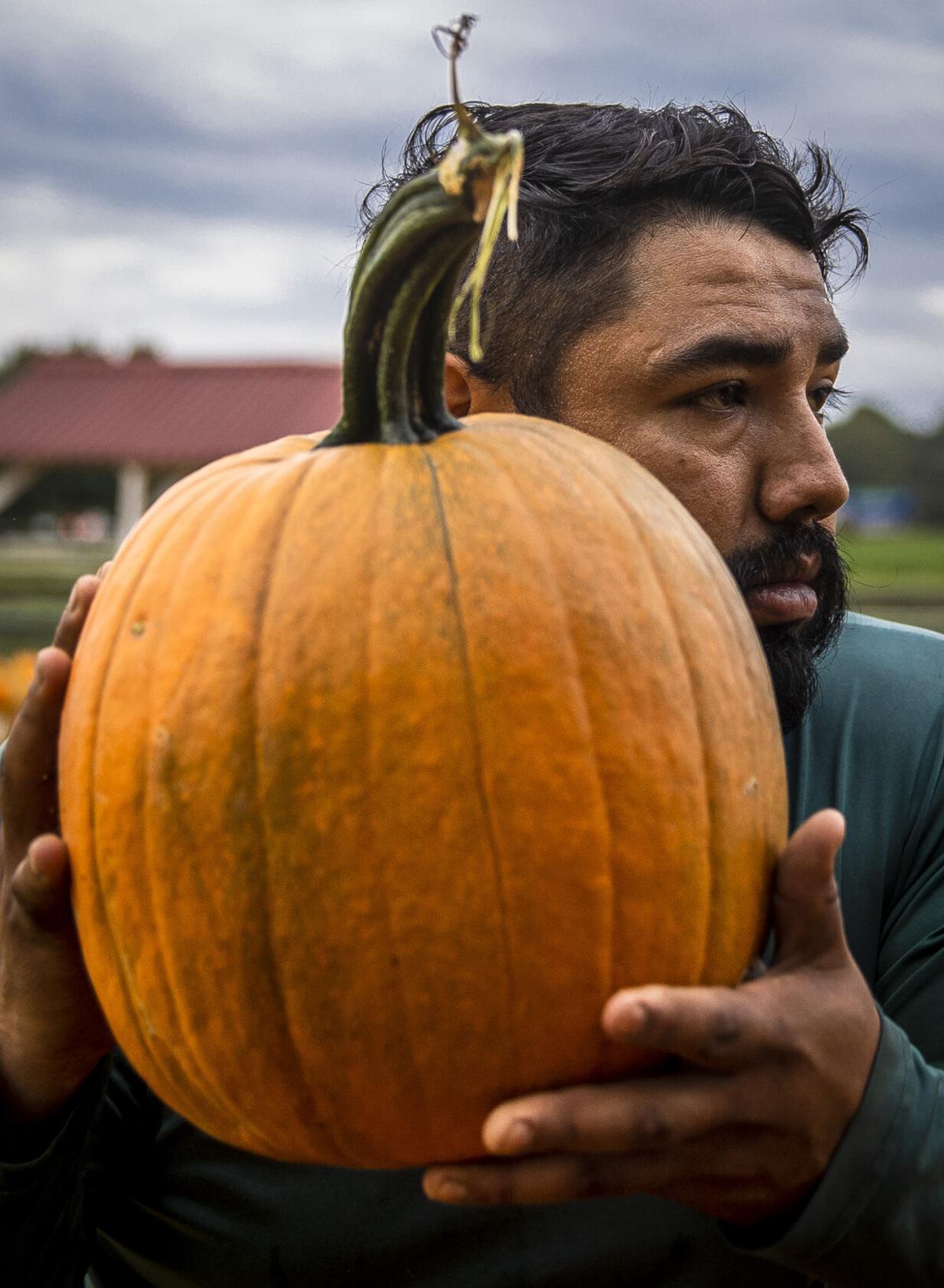 Pumpkin Partch07 ONLINE ONLY.JPG