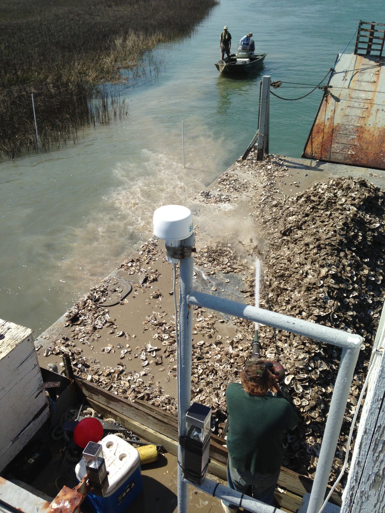Oysters on the holiday menu? Remember to recycle shells