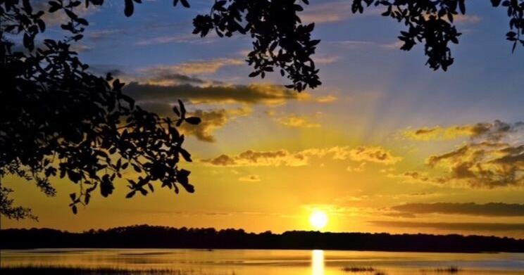 Meggett preserves over 160 acres with Harrell Family Park | News - Vimarsana News