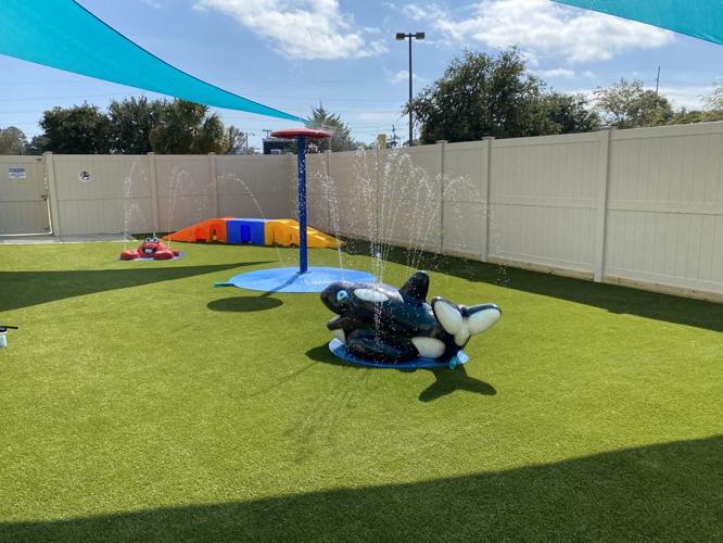 Coastal Paws Pet Resort, a luxury getaway for pets, opens in North Myrtle Beach Myrtle Beach