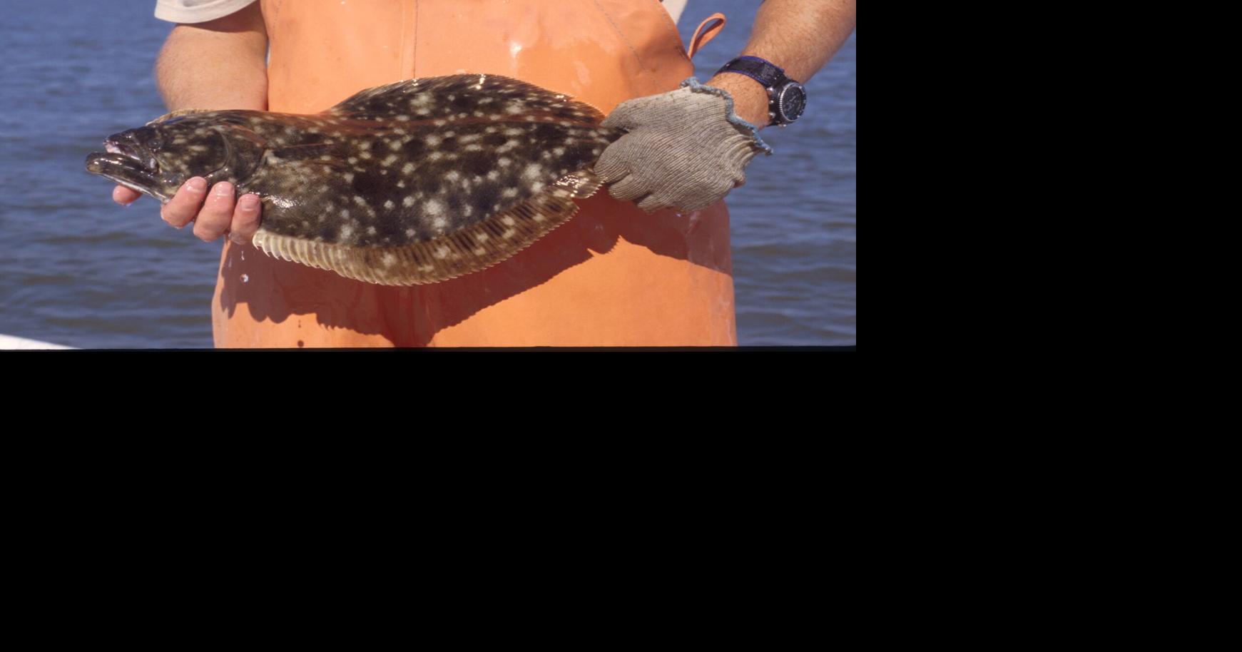 SC's new rules for flounder catch go into effect July 1, as state