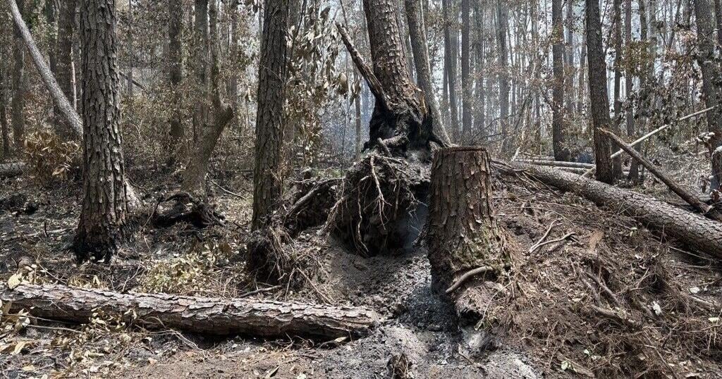 Rainfall dampens Francis Marion fire as crews work to contain blaze 1 week in