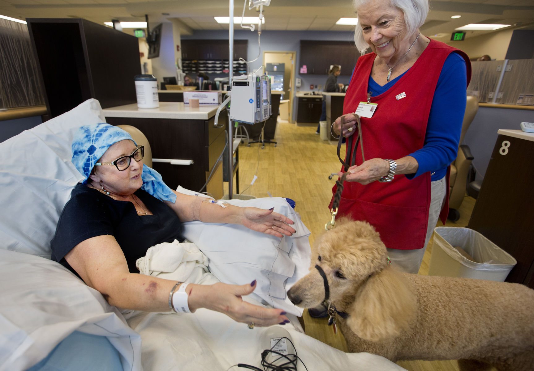 hospital comfort dogs