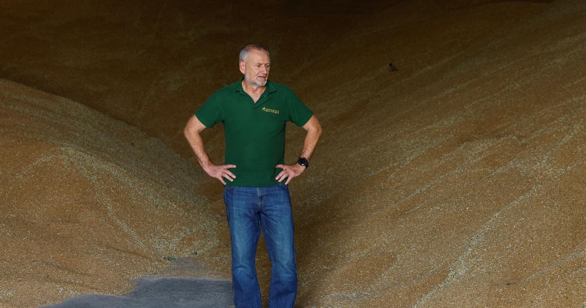 Ukraine farmers despair as Russian Black Sea blockade traps harvest
