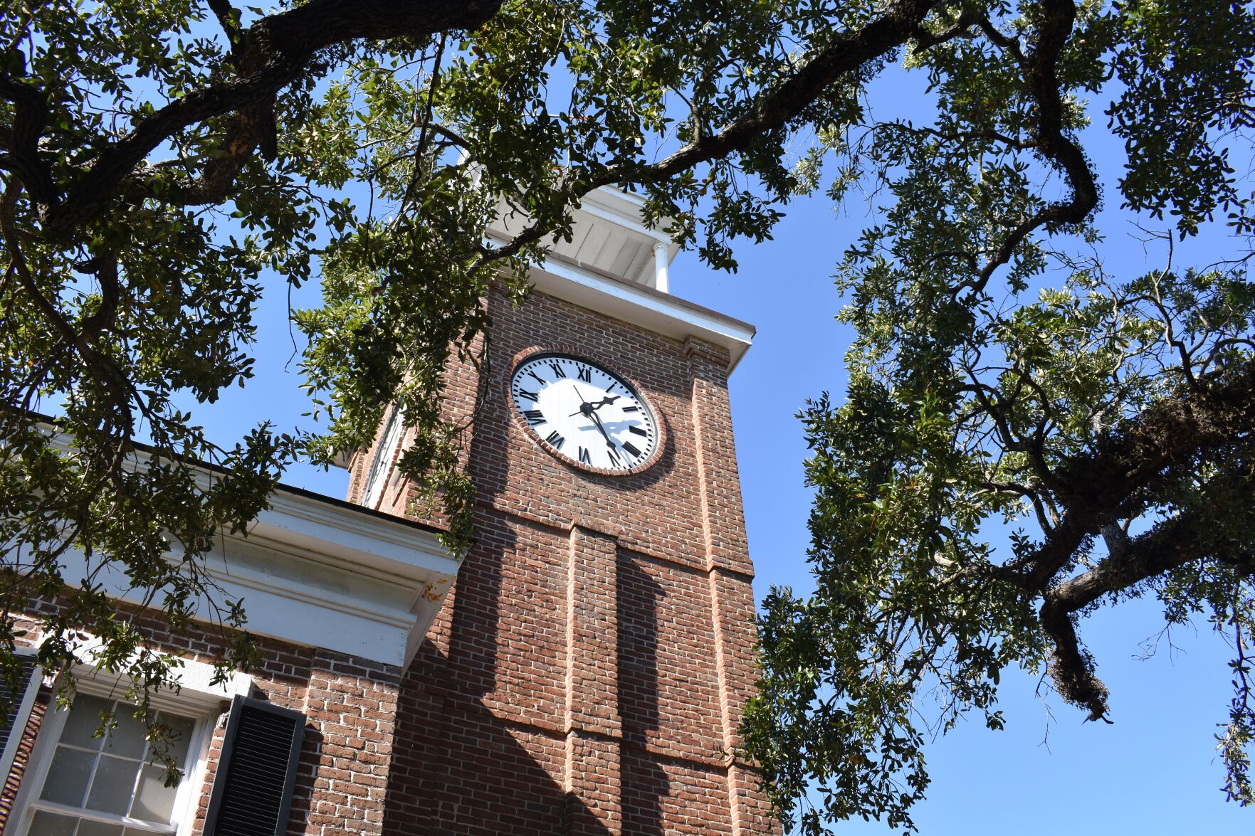 Georgetown looking to become state arts district