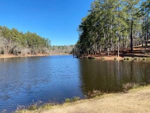 Aiken County’s next state park could still be two years out with work ongoing at Misty Lake