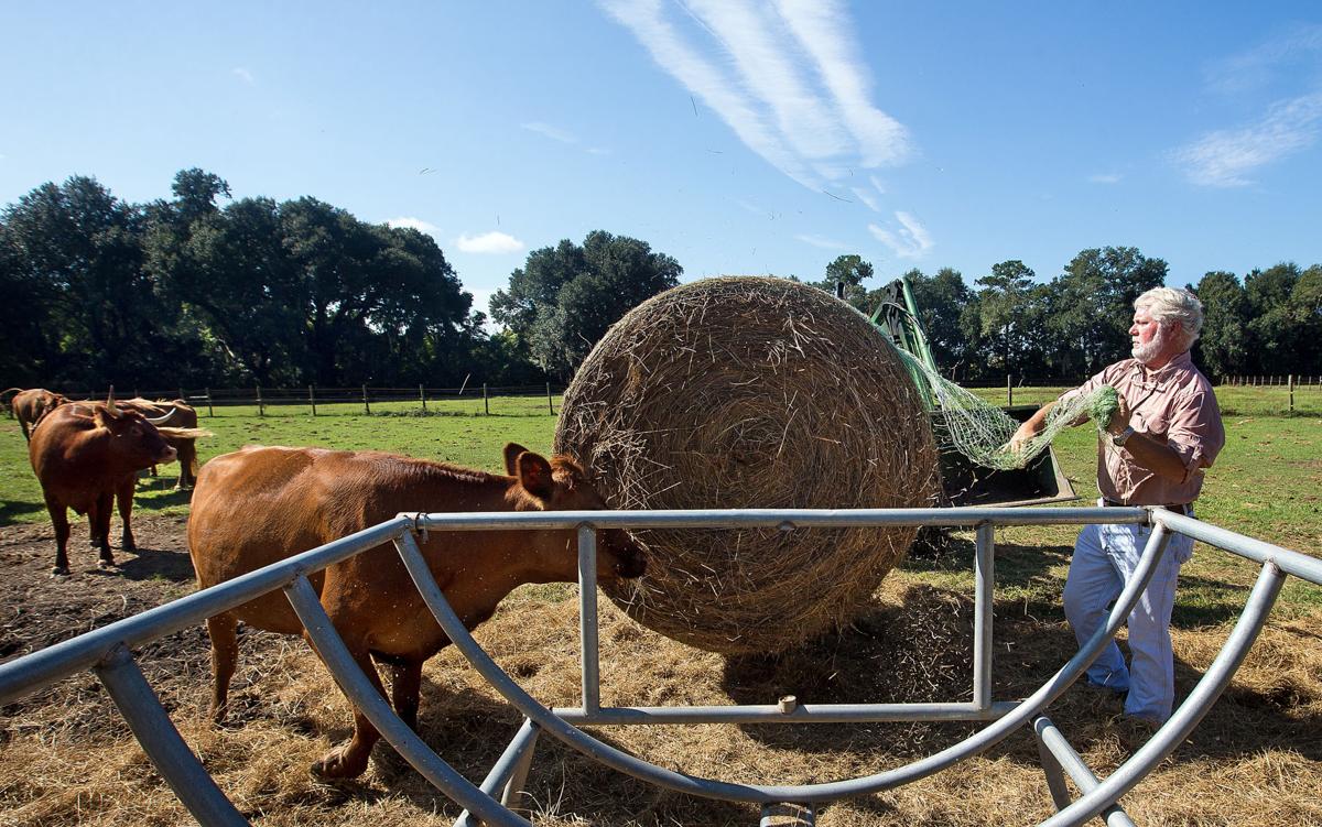 Near The Heart Of Summerville A 16 Acre Farm Hangs On Amid Rapid