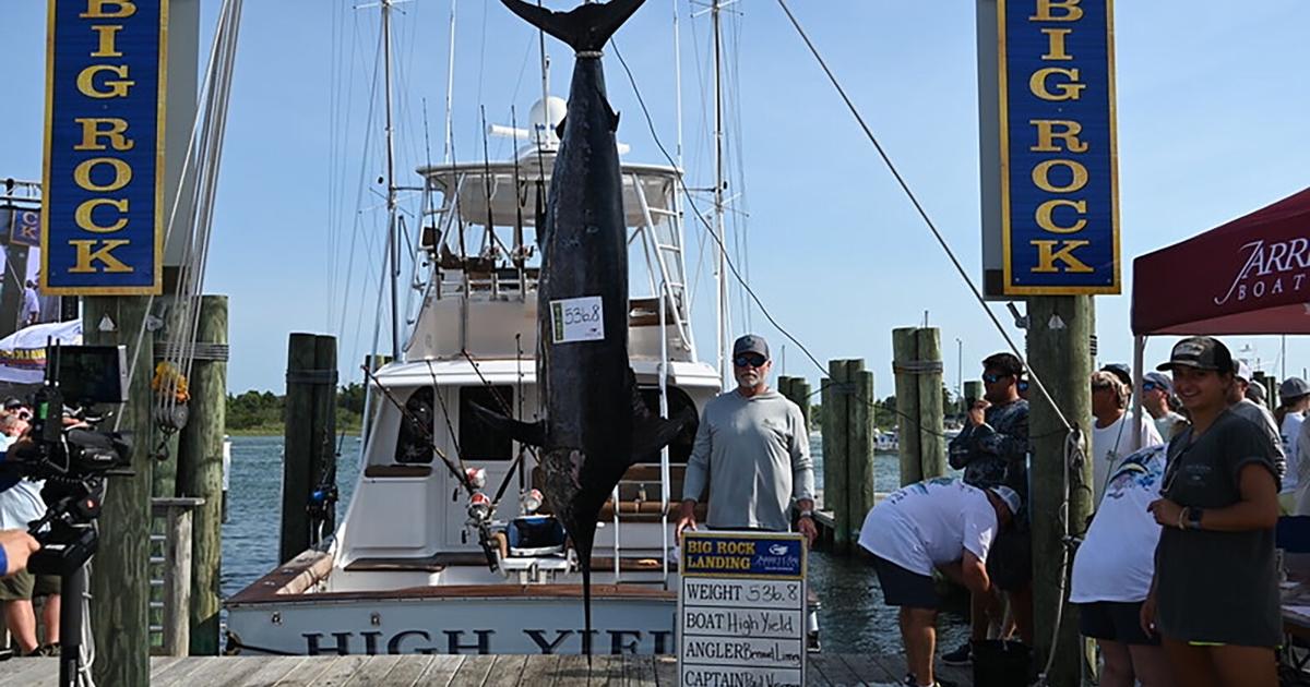 Mercenaria wins Big Rock Blue Marlin Tournament; Charleston boat High