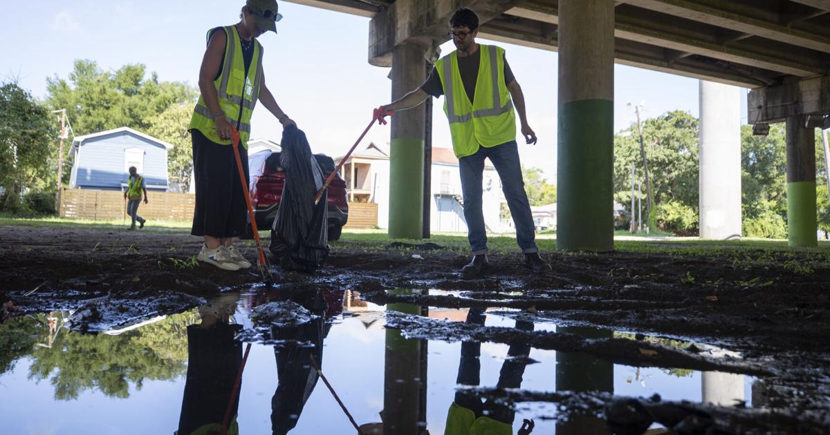 Charleston to break ground on Lowcountry Lowline, a highly anticipated ...