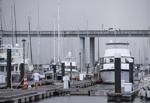 Charleston City Marina_01.JPG