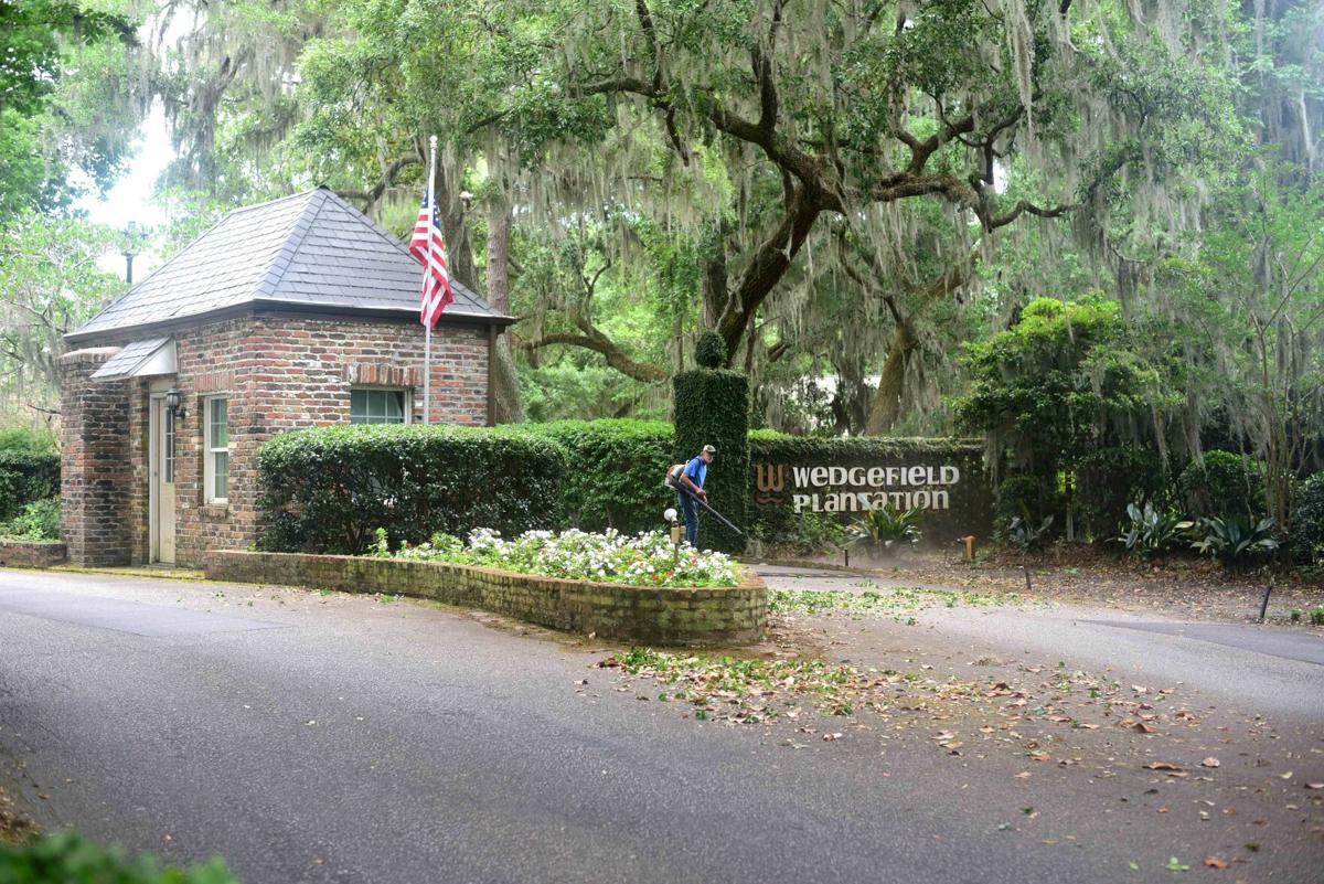 Wedgefield Plantation