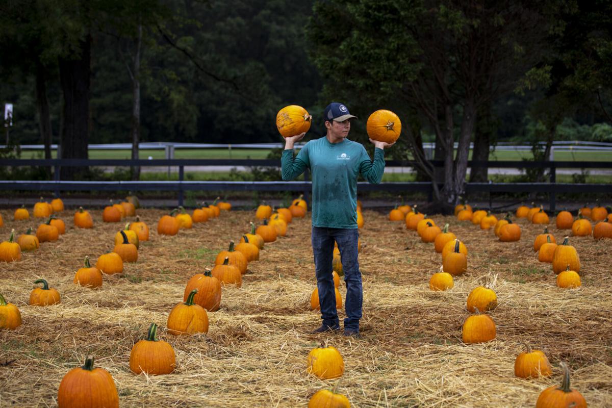 Pumpkin Partch08 ONLINE ONLY.JPG