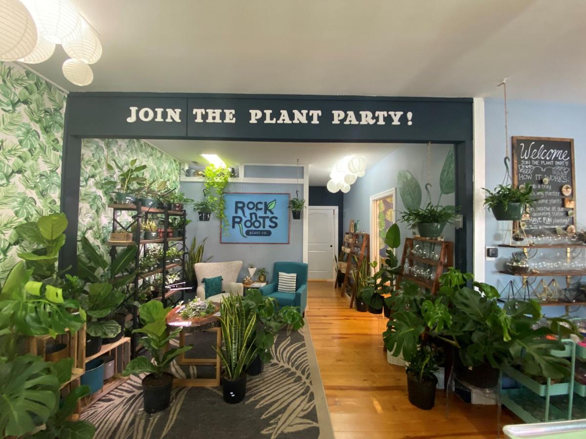 new pawleys plant shop, rock n' roots, opens at the village shops