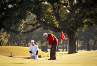 Charleston Municipal golf course reopens to 'overwhelmingly positive' reviews