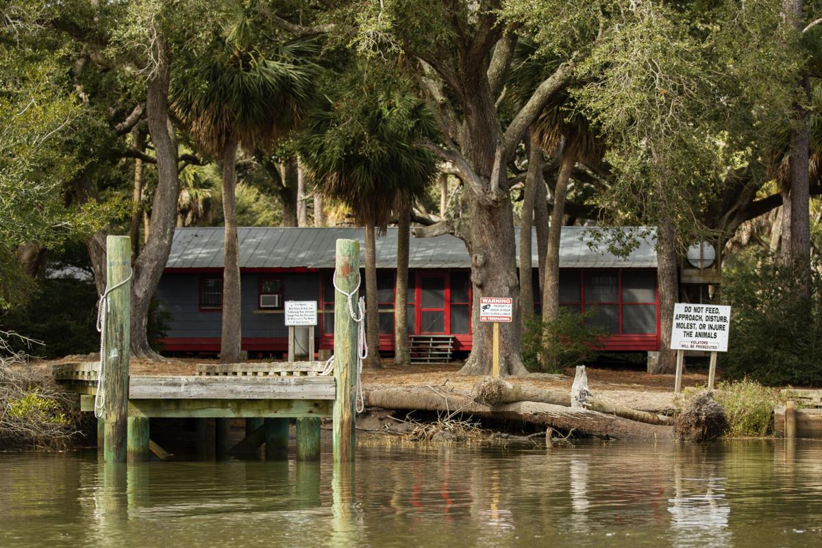 SCDNR makes millions from company leasing Monkey Island, prompting ethical  concerns