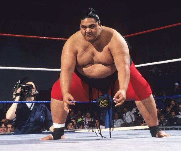 Blast from the past Yokozuna Wrestling