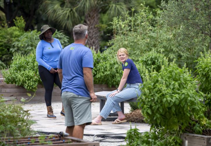 Tips for growing and maintaining an herb garden in the Charleston area