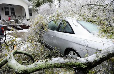 If A Tree Falls On Your Home Or Vehicle Who Pays Business Postandcourier Com