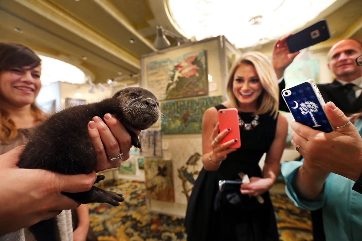 SEWE otter