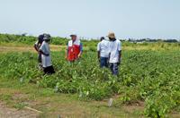 William Martin05.jpg