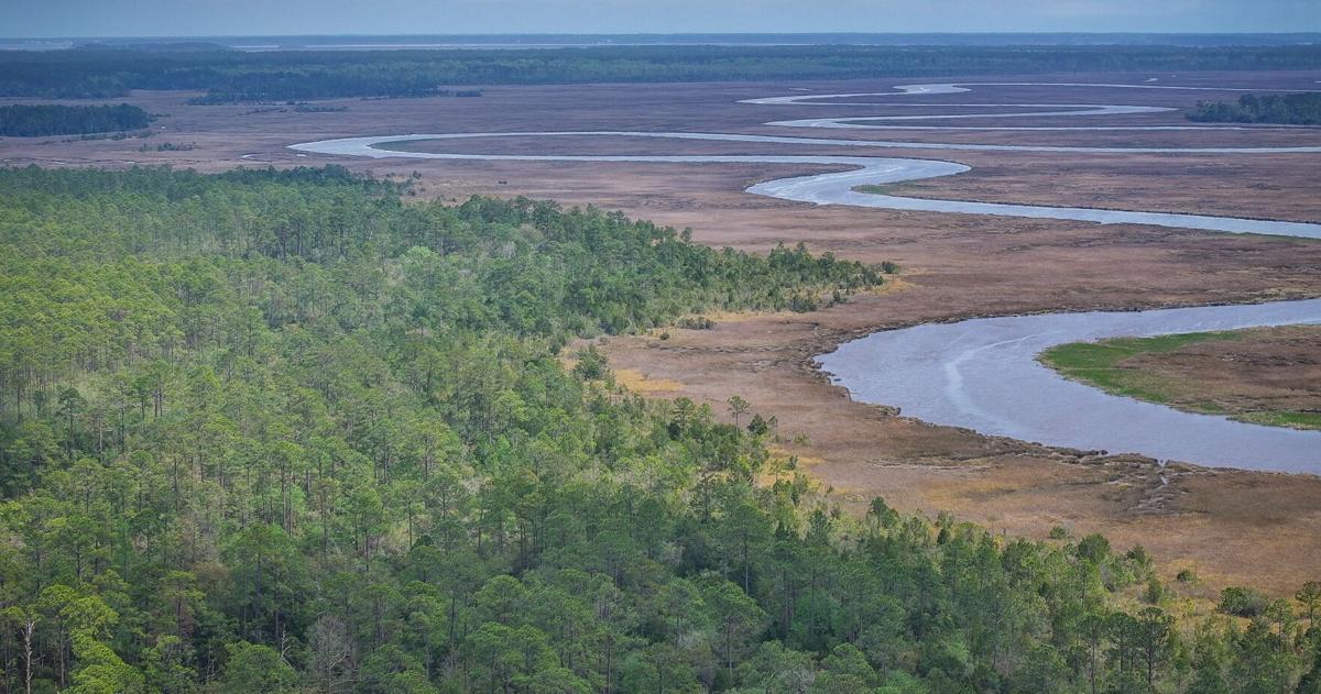 Beaufort County balked at opportunity to preserve 5,000 acres in Bluffton. What happens next?